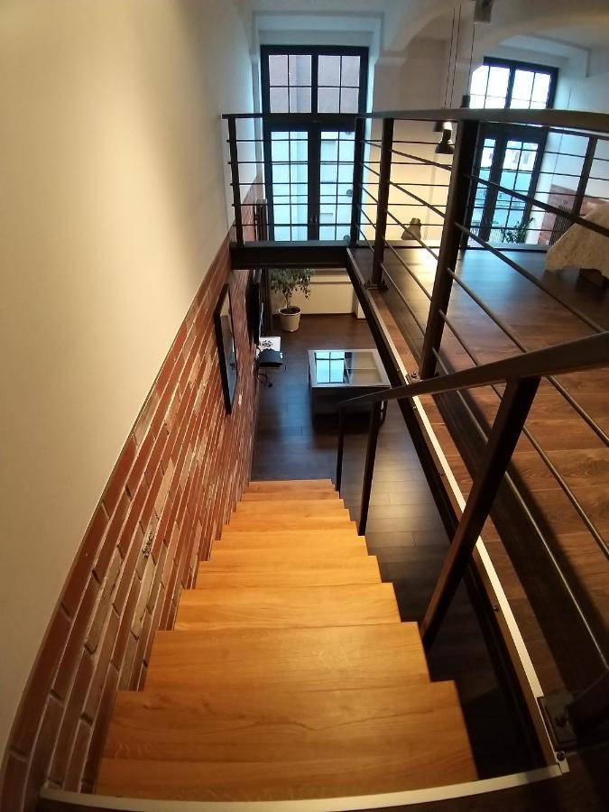 Loft 314 Apartment Zyrardow