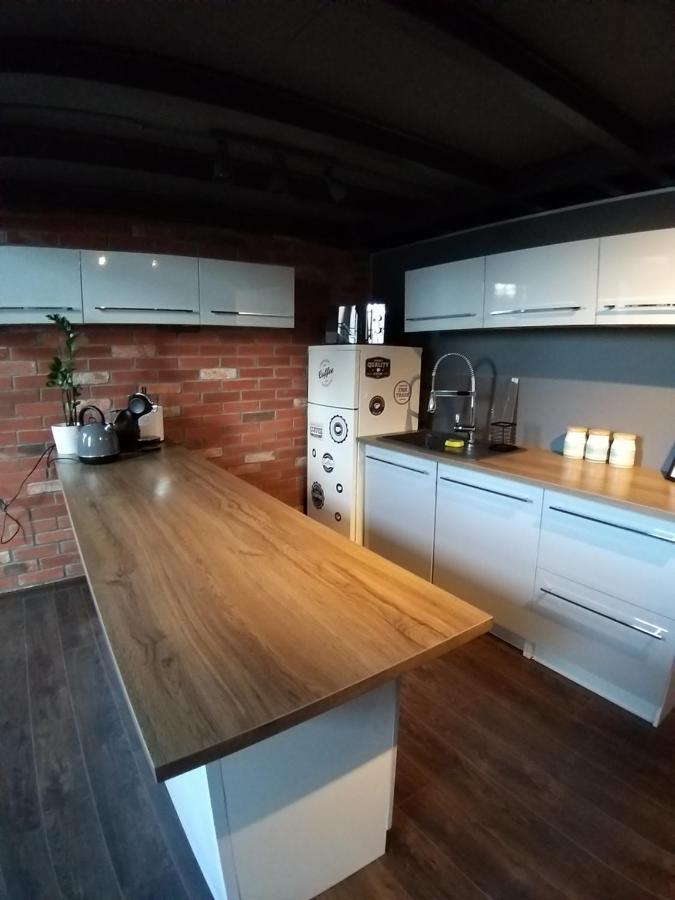 Loft 314 Apartment Zyrardow